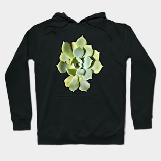 Succulent Echeveria Garden Plant Cut Out Hoodie